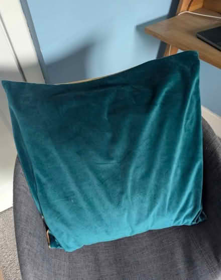 Photo of free Cushion (velvet) (Queens Road Peckham) #2