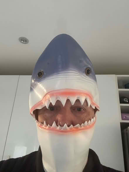 Photo of free Fancy dress shark mask (Pooley Green TW20) #1