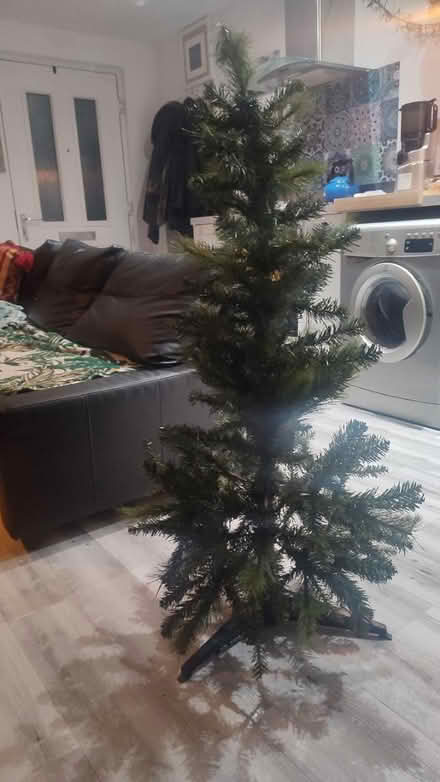 Photo of free Small Christmas tree (Lenham ME17) #1