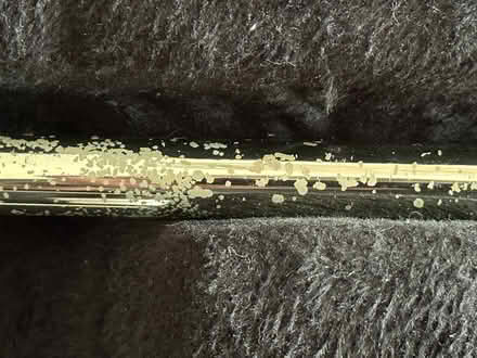 Photo of free Trombone (Sunnyvale near Raynor Park.) #2