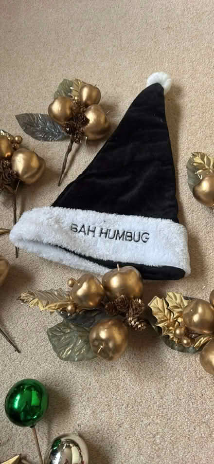 Photo of free Christmas Decorations (Chorleywood House estate WD3) #3