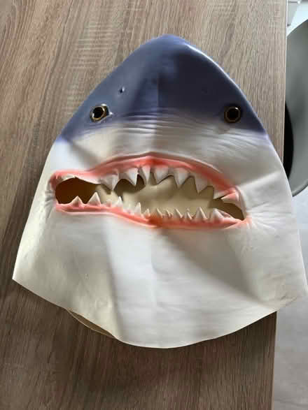 Photo of free Fancy dress shark mask (Pooley Green TW20) #2