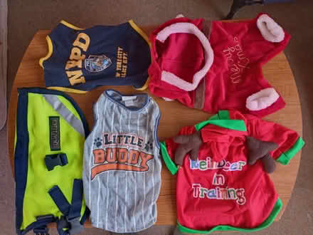 Photo of free Dog coats for small to medium size dog (Rose Hill OX4) #1