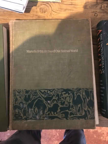 Photo of free Animal books (Horsham near Millais) #3