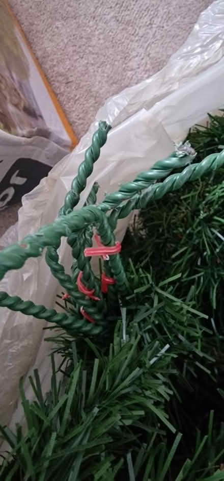 Photo of free 8 foot Christmas Tree (M40 Harpurhey) #3