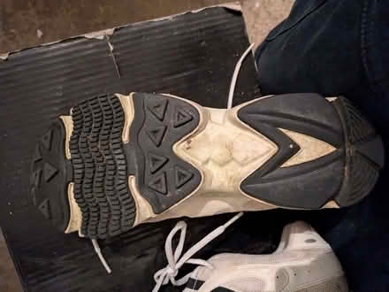 Photo of free Adidas trainers size 10 (Westleton IP17) #2