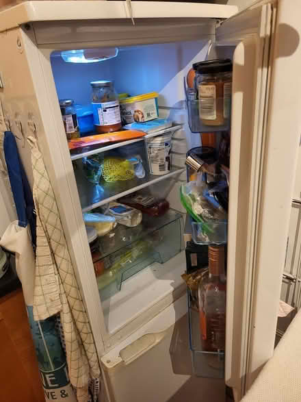 Photo of free Tall Fridge (SW11 6hb) #2