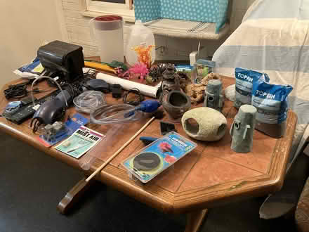 Photo of free 20-gal aquarium and supplies (Bethesda) #1