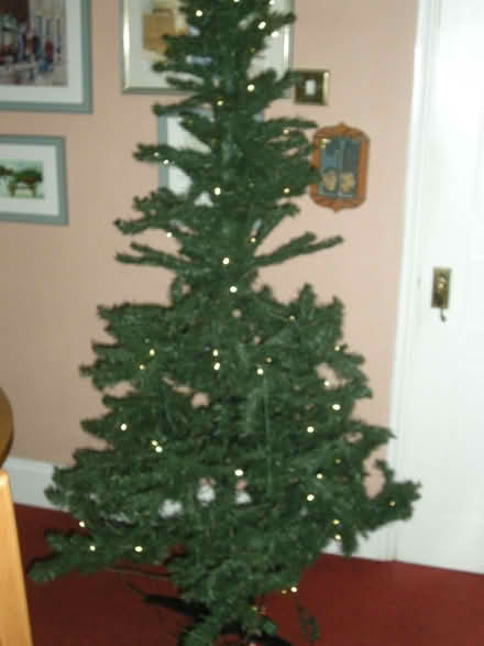 Photo of free Artificial Christmas tree with lights (CT10) #1