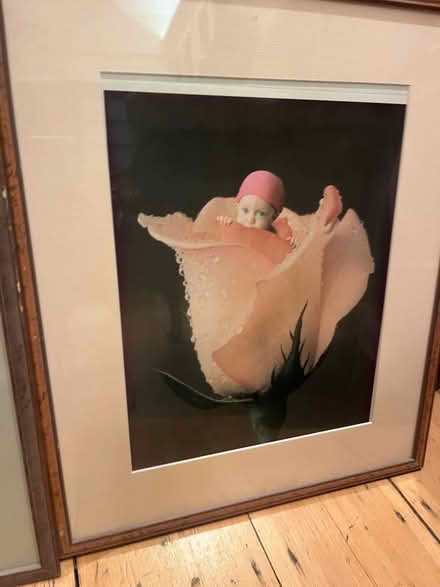 Photo of free Anne Geddes photos in frames (Lavender Hill SW11) #1