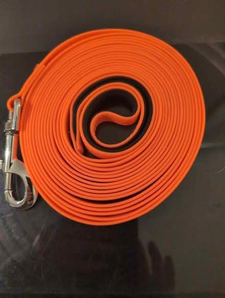 Photo of free 5m training lead. (Cam GL11) #1