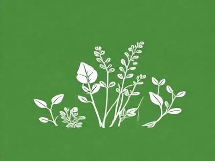 Photo of Herbs for indoors if anyone has any spare or they dont use (Dursley GL11) #1