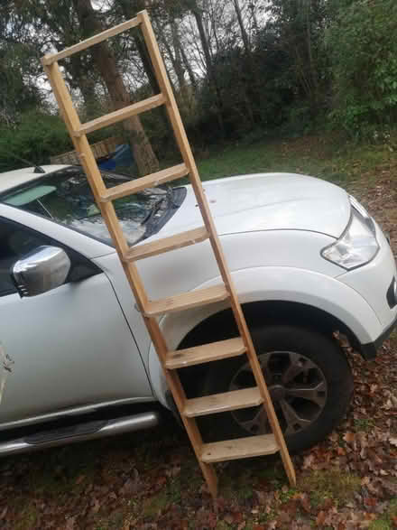 Photo of free 2m 8 rung ladder (West End Woking) #1