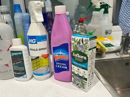 Photo of free Mould/Damp/Freshner cleaners (Herne Hill SE24) #2