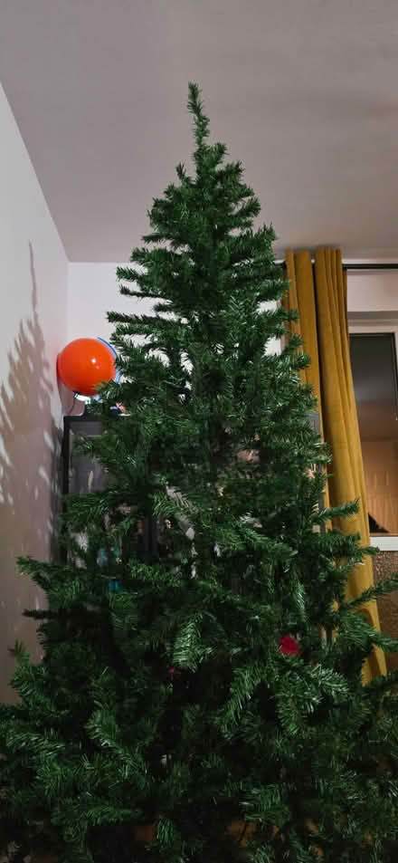 Photo of free Christmas tree (W3 8BB) #1