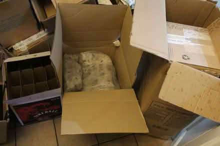 Photo of free Large, sturdy cardboard boxes plus packing materials (Llynclys SY10) #3