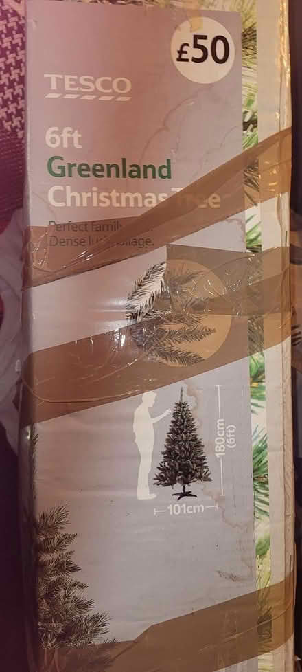 Photo of free 6ft Christmas tree (Billingham TS23) #1