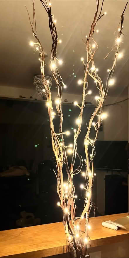 Photo of free 5 twig led lights (Hyde Heath HP6) #1