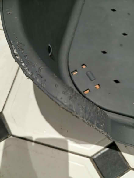 Photo of free Plastic large Dogs bed (IP3) #3