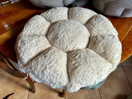 Photo of free Pet cushion—24” diameter (Falls Church City) #1