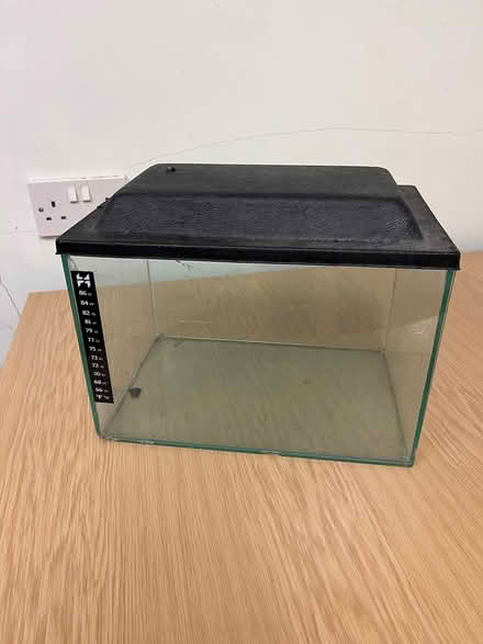 Photo of free Small glass fish tank (Nr Bridport DT6) #1