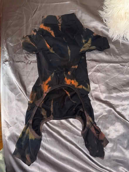 Photo of free Dog onesie (Clason Point Bronx NY) #2