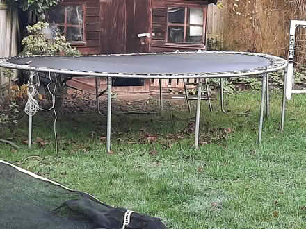 Photo of free Large trampoline (Monkspath B90) #1