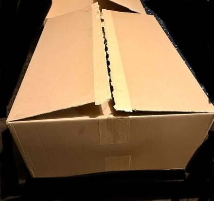 Photo of free X4 Cardboard Boxes (New Southgate, N11) #2