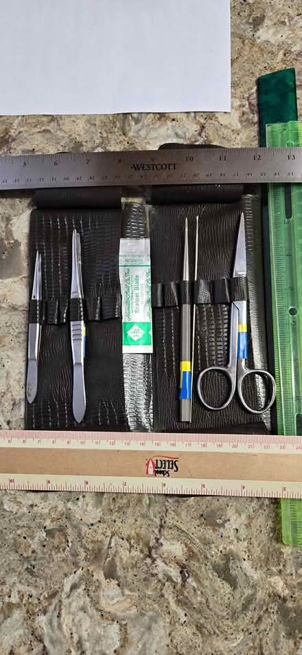 Photo of free Beginner's Dissecting Kit (Crofton, near the high school.) #1