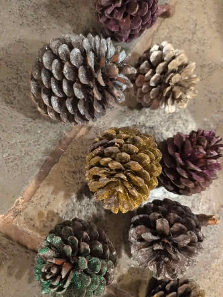 Photo of free Large Glitter pine cones (HR1) #2