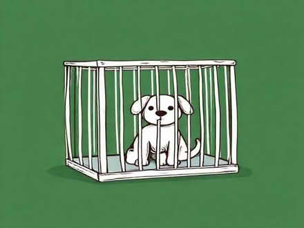 Photo of xxl dog cage (Ashford Bowdler SY8) #1
