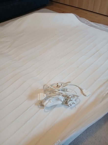 Photo of free Electric blanket (Bear Flat) #1