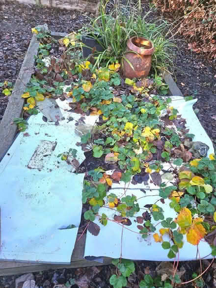 Photo of free PVC posters and banners (St Stephens AL1) #4