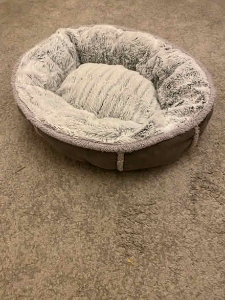 Photo of free Cat/dog bed (Whyteleafe) #1