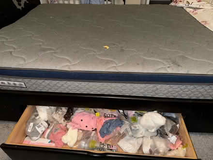 Photo of free Bed frame and mattress (Haywards heath) #2