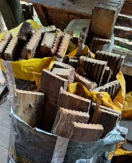 Photo of free Wood - Old Decking (Penzance TR18) #2