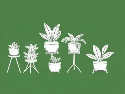 Photo of Indoor plant stands (South Kensington SW7) #1