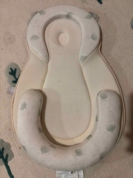 Photo of free Insert for a cot/buggy (islington N1) #1