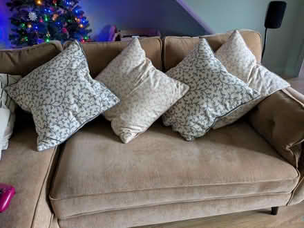Photo of free 4 Goose feather cushions (Bristol North / Stoke Gifford) #1