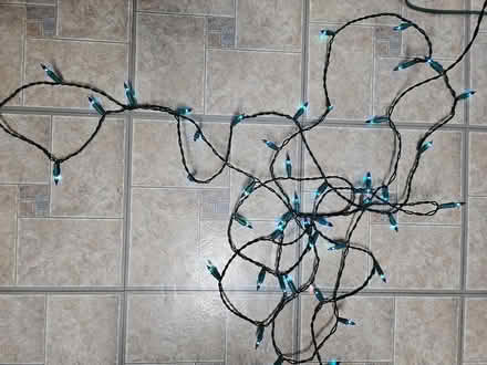 Photo of free Blue Mini Light Strings - 20ft each (paisley and imperial) #2