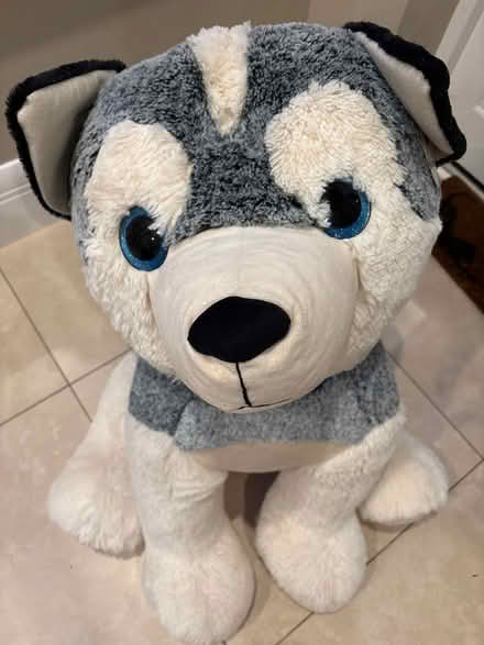 Photo of free Giant soft toy - husky dog (Southfields SW19) #1