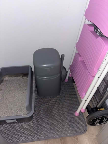 Photo of free Cat supplies (Polish Hill) #4