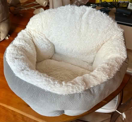 Photo of free Cat or small pet beds (2) (Falls Church City) #1