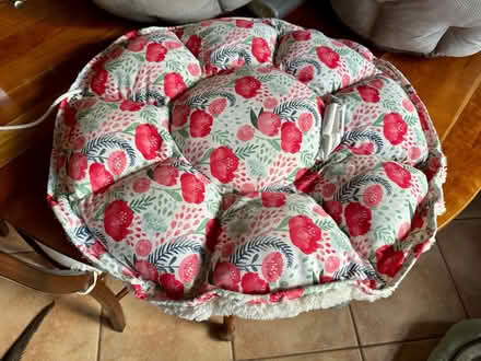 Photo of free Pet cushion—24” diameter (Falls Church City) #2