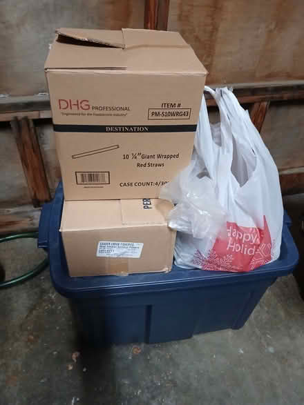 Photo of free Christmas decorations (Delridge, West Seattle) #2
