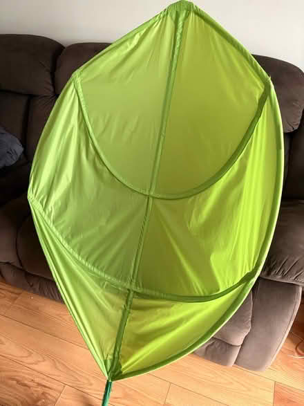 Photo of free Leaf canopy (Hull) #1