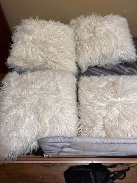 Photo of free Set of 4 Fluffy Decorative Pillows (Clason Point Bronx NY) #1