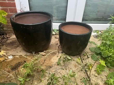 Photo of free 2 x large black ceramic plant pots (Herne Hill SE24) #1