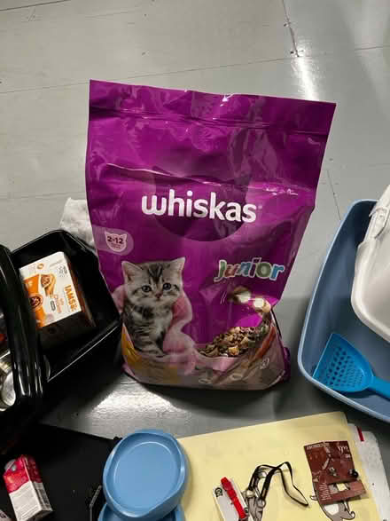 Photo of free Cat stuff (Tw14) #3