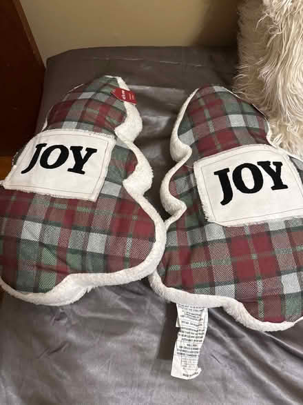 Photo of free Decorative Pillows (Clason Point Bronx NY) #1